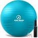 Exercise Ball - Professional Grade Anti-Burst Yoga Ball, Balance Ball for Pilates, Yoga, Stability Training and Physical Therapy (Blue (No Pump), 65cm)