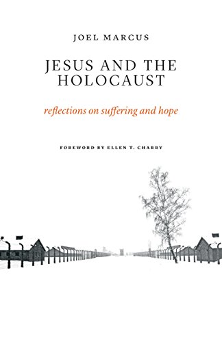Jesus And The Holocaust: Reflections On Suffering And Hope