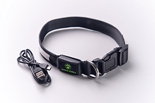 Lampadina a LED collare per cani, ricaricabile