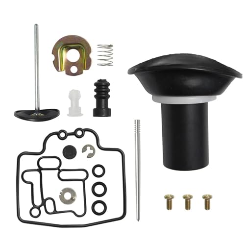 Kit de reparación de carburador y filtro de gasolina para Yamaha Majesty YP250