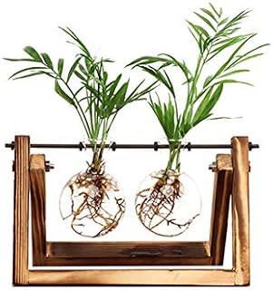 Ivolador Desktop Glass Planter Bulb Plant Terrarium for Hydroponics Plants Home Garden Wedding