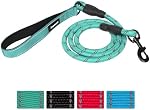 Heavy Duty Dog Leash - Durable & Reliable Pet Leash for Walking, Training & Control - Reflective for Safety - Adjustable Length - Comfortable Handle - Suitable for Large & Small Dogs (Green)