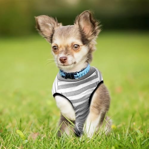 Hundebody nach Operationen, Hundebody nach Operationen, Auslaufschutz, weicher Genesungsanzug für Hunde, Schutzanzug für Hunde (1 Stück – S)