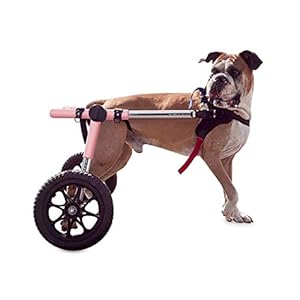 Walkin’ Wheels Large Dog Wheelchair, Lightweight Dog Wheelchair for Back Legs, 70-180 lbs, for 17-19 inches Leg Height – Pink