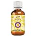 Deve Herbes Pure Red Raspberry Seed Oil (Rubus idaeus) 100% Natural Therapeutic Grade Cold Pressed 15ml (0.50 oz)