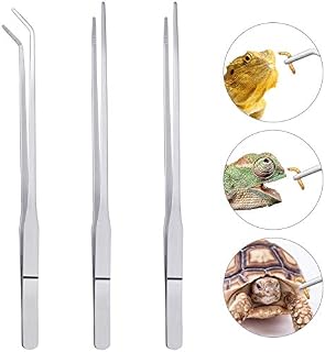 3 Pcs Stainless Steel Feeding Tongs, Reptile Feeding Tweezers Long Handle Feeder Tools