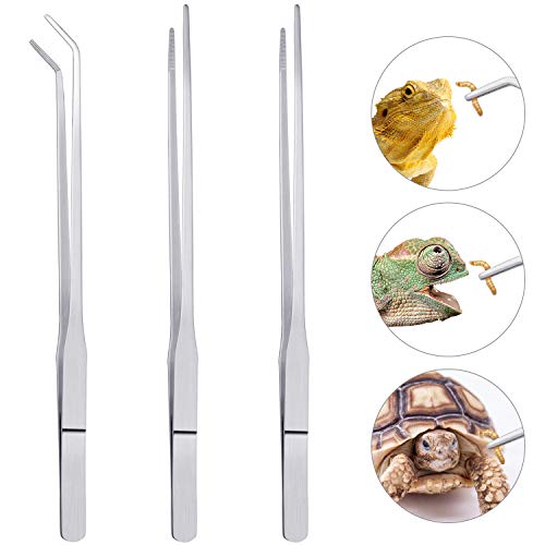 3 Pcs Stainless Steel Feeding Tongs, Reptile Feeding Tweezers Long Handle Feeder Tools