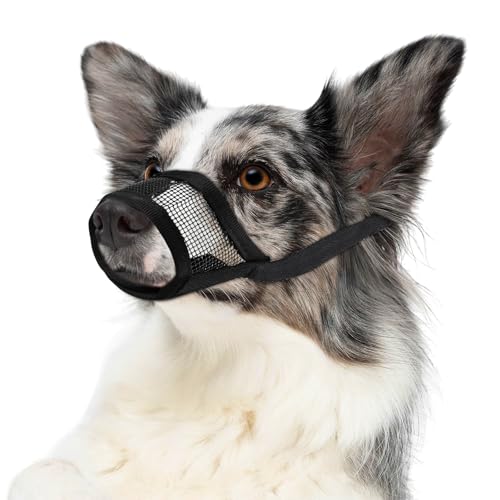 YUXIANLB Dog Muzzle for Small Medium Large Dogs Soft Air Mesh Muzzle Breathable Muzzles Anti Biting Barking Chewing Adjustable Mouth Cover Dogs Soft Nylon Muzzles (Black-M)