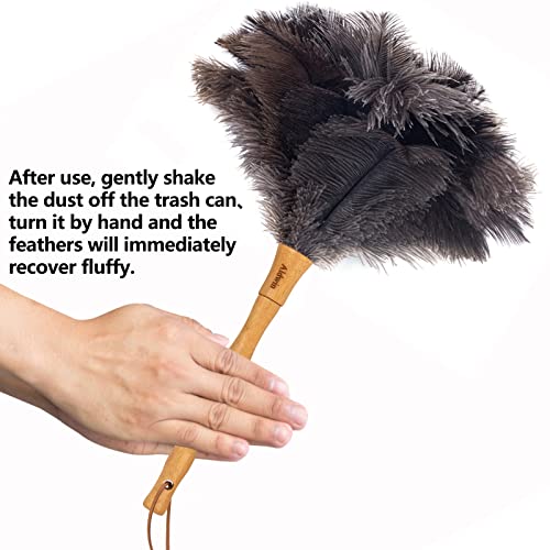 Aldwin Ostrich Feather Duster, 16 Inch Ostrich Feather Duster With Wood Handle Reusable, Fluffy Natural Feather Duster For Cleaning Supplies Washable, Keyboard, Home, Car, Office #TOP4
