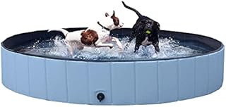 Yaheetech Foldable Pet Swimming Pool Cat Dog Puppy Bathing Tub Indoor/Outdoor Blue Dia 160cm
