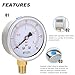 BPSSDI 0-30 Psi Low Pressure Gauge, 2.5