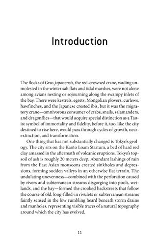 Tokyo: A Biography: Disasters, Destruction and Renewal: The Story of an Indomitable City