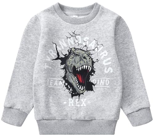 Image of Popshion Toddler Boys Sweatshirts Dinosaur Long Sleeve Pullover Crewneck Shirts Cartoon Tee Sport Tops for Kids 1-8T