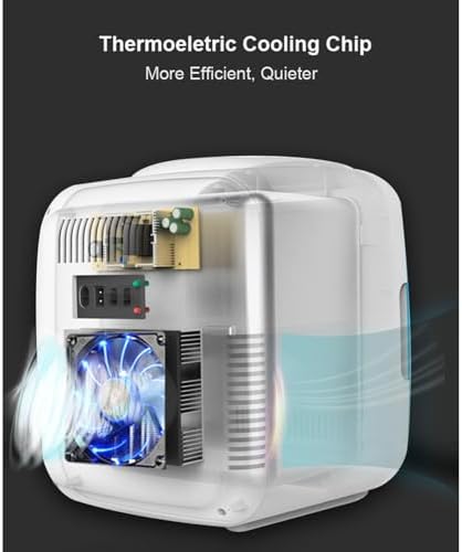 Portable Mini Fridge 9L for Bedroom, Skincare, and Makeup - Cooler & Warmer with 12V DC & 110-240V AC for Food, Drinks, Dorm, Office, and Car - Compact White Refrigerator