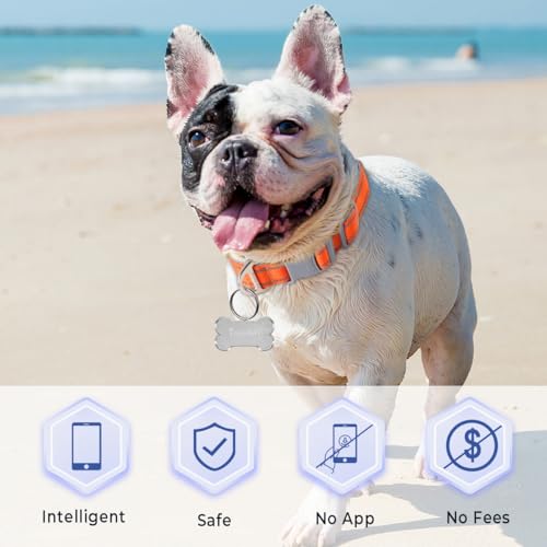 Dog Tags Personalized for Pets,Dog Name Tags QR Code,No Subscription Fees,Modifiable Pet Online Profile,Stainless Steel,No App Required,for Dogs and Cats Small,Medium,Large(Dog Bone,Regular) - Image 4