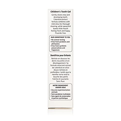 Weleda WL-009 Oral Care Childrens Tooth Gel, 1.7 Fluid Ounce, Fluoride Free, Spearmint Flavor, Plant Rich Toothpaste thumb #4