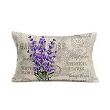 Fukeen Vintage Flower Lavender Throw Pillow Covers Decorative French Country Stamp with Violet Bouqu