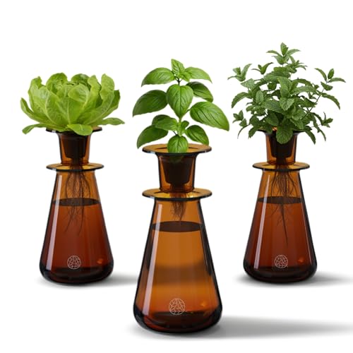 Lettuce Grow Counterstand Set – Vase Plant for Indoor Edible Garden Kit for Herbs & Lettuce – Small-Space Hydroponic System – Home Decor & Gifting – No Glow Lamp