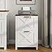 Vabches Vertical File Cabinet with 2 Drawers, Wooden Farmhouse Filing Cabinet for Letter/A4 Size Hanging Files, Under Desk Printer Stand with Storage for Home Office, White and Lock