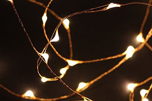 Frank Lampadina a LED Filo 100 luci Bianco Caldo