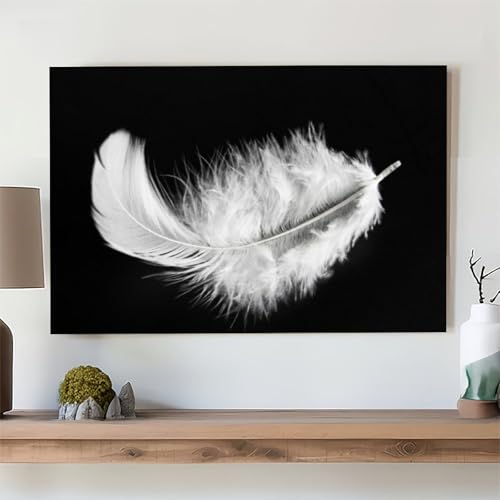Black And White Feather Posters Canvas Wall Art Prints,Falling Feather