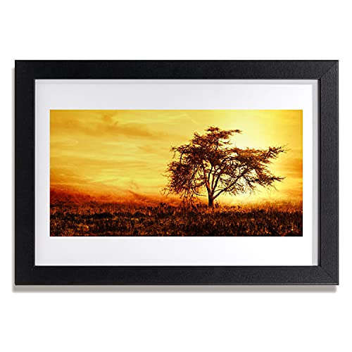 Affiche encadrée arbre de nature Tulup 30x20 cm pour salon et chambre