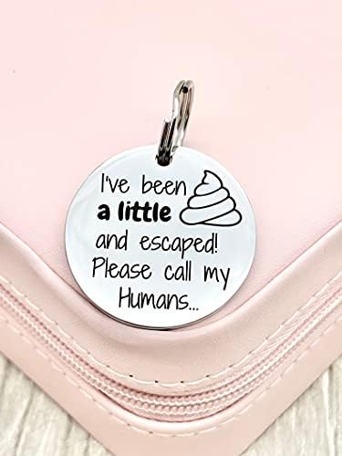 Personalised Engraved Dog ID Tag, Cat Name Tag, Stainless Steel Custom Pet Name Tag