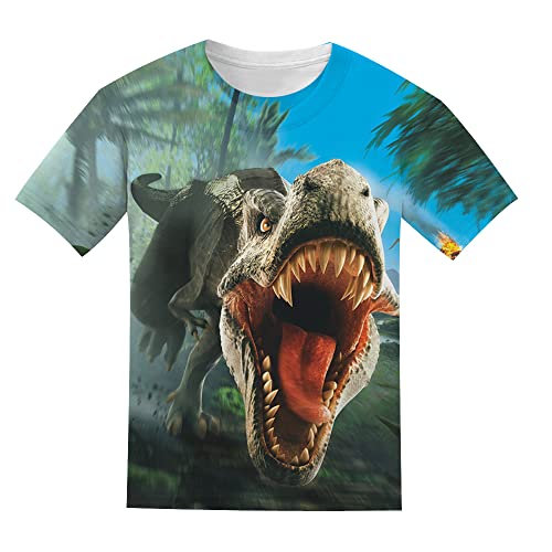 Kids 3D Print Graphic Tees Funny Cartoon Dinosaurs Short Sleeve T Shirts for Youth Boys Girls 4-14 Years4