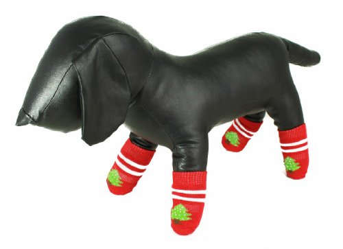 Chat Patte Chaussettes