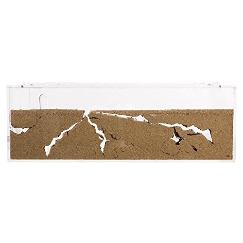 image for AntHouse Sand Ant Farm BIG - Anthill, Formicarium, Educational, Ants -