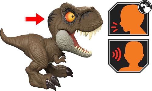 T REX INTERACTIF - vue 7