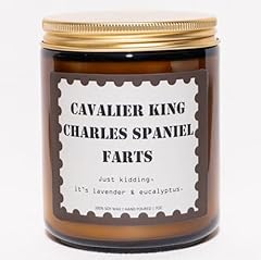 CAVALIER KING CHARLES SPANIEL FARTS