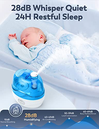 https://m.media-amazon.com/images/I/41ukVB5EnFL._SL500_.jpg