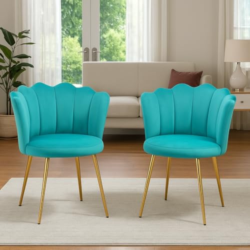 Image of Set of 2 Accent Chair for Living Room | Modern Armchair in Soft Velvet Fabric with Sturdy Legs | Premium Chair for Home Living Room Bedroom Restaurent | (Flower Design, Sky Blue)