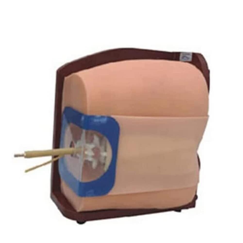 Spinal and Epidural Anesthesia Clinical Training Model Spine Puncture Training Model
