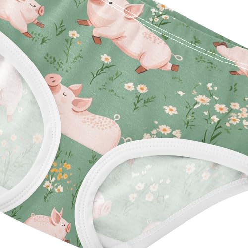 Wusikd Cute Pink Pig Girls' Underwear Cotton Flowers Girls Briefs Soft Toddler Underwear 2T4