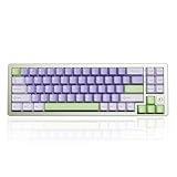 YUNZII AL71 68% ゲーミングキーボード フルアルミCNC ホットスワップ対応 無線 ガスケット メカニカルキーボード NKRO 2.4GHzワイヤレスBT5.0/USB-C 有線 RGBバックライト Win/Mac用 お贈り物 技適認証取得（グリーン、ミュートスイッチ）