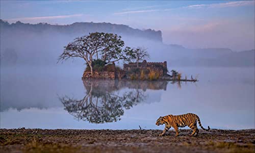 India: Unesco World Heritage Sites #TOP4