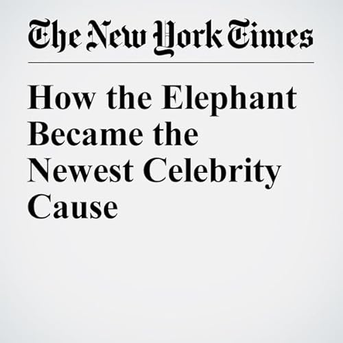 How the Elephant Became the Newest Celebrity Cause cover art