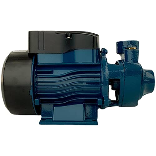 Bomba DÁgua Motobomba Periférica Lepono BP60 0.5 Hp Mono 1 Pol