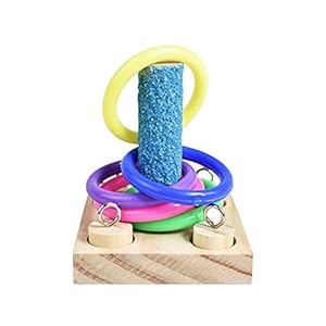 TOSSPER Vogels Papegaai Houten Platform Plastic Ringen Intelligentie Training Chew Puzzel Speelgoed Blok Huisdier…