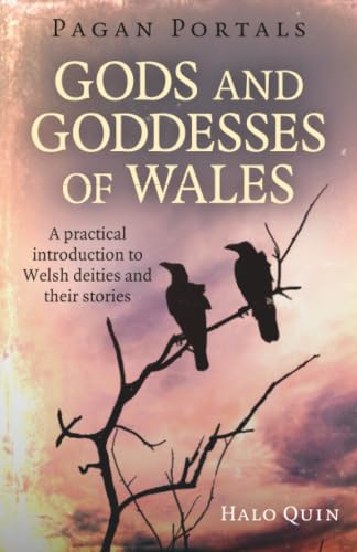 Pagan Portals - Gods and Goddesses of Wales: A Practical Introduction To Welsh Deities And Their Stories