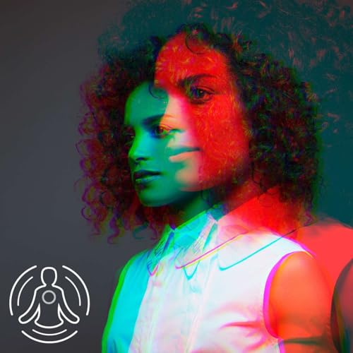 Couverture de Transformational Leadership for Transformational Times