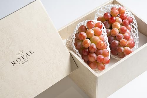 甲州市産 大粒サンシャインレッド 2房入(1房 約630g)自然農法[2026年9月中旬〜10月下旬頃、順次お届け予定](BNC)E1-425