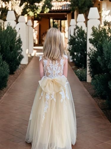Tulle Flower Girl Dress Wedding Lace Applique Bow-Knot Ball Gowns Crew Neck Sleeveless Birthday Princess Long Dress3