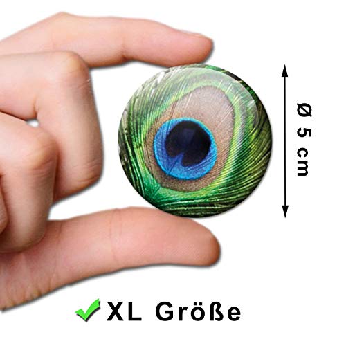 Set di 4 magneti per frigorifero, motivo: pavone