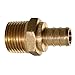 Jones Stephens C76034LF Jones Stephens C76034LF 1/2 PEX X 1/2 MIP MALE ADAPTER - LEAD FREE