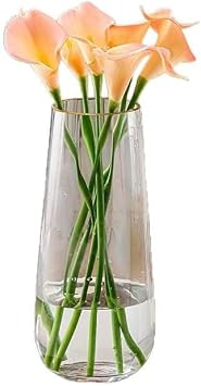 Clear Glass Flower Vases, Minimalist Cute Decorative Vases for Pampas Grass, Home, Living Room, Dining Table, Farmhouse, Office Decor, Bedroom, Table, and Kitchen Shelf