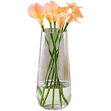 Clear Glass Flower Vases, Minimalist Cute Decorative Vases for Pampas Grass, Home, Living Room, Dining Table, Farmhouse, Office Decor, Bedroom, Table, and Kitchen Shelf
