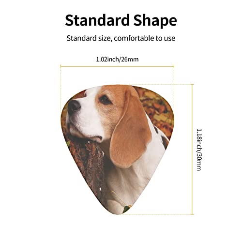 Lot de 12 médiators pour guitare électrique et acoustique Motif chien Beagle en automne - Les Beatles, Paul McCartney, John Lennon, RIngo Starr, George Harrison Lot de 12 médiators pour guitare électrique et acoustique Motif chien Beagle en automne – Image 5